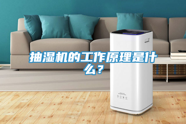 抽濕機的工作原理是什麽？