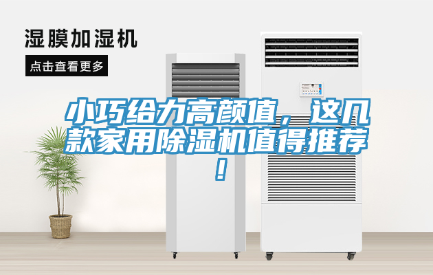 小巧給力高顏值，這幾款家用草莓污视频在线看值得推薦！