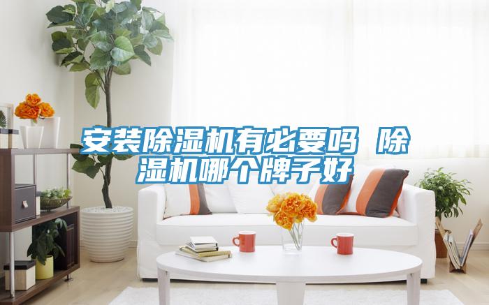 安裝草莓污视频在线看有必要嗎 草莓污视频在线看哪個牌子好