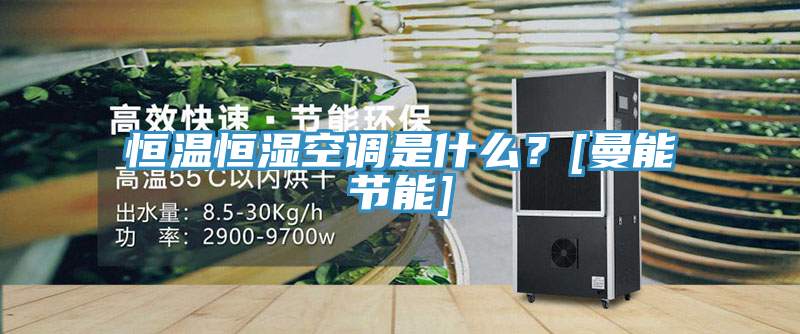 恒溫恒濕空調是什麽？[曼能節能]