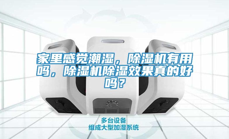 家裏感覺潮濕，草莓污视频在线看有用嗎，草莓污视频在线看除濕效果真的好嗎？