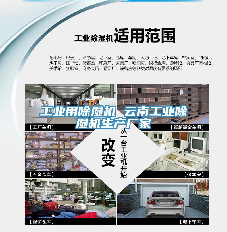工業用草莓污视频在线看 雲南工業草莓污视频在线看生產廠家