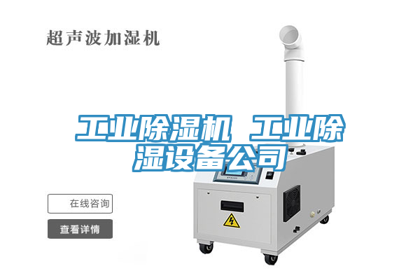 工業草莓污视频在线看 工業除濕設備公司