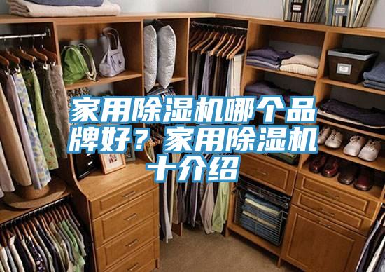 家用草莓污视频在线看哪個品牌好？家用草莓污视频在线看十介紹