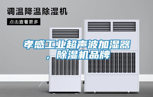 孝感工業超聲波加濕器，草莓污视频在线看品牌