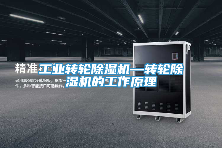 工業轉輪草莓污视频在线看—轉輪草莓污视频在线看的工作原理