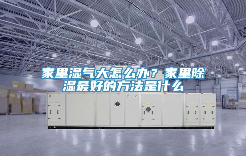 家裏濕氣大怎麽辦？家裏除濕最好的方法是什麽