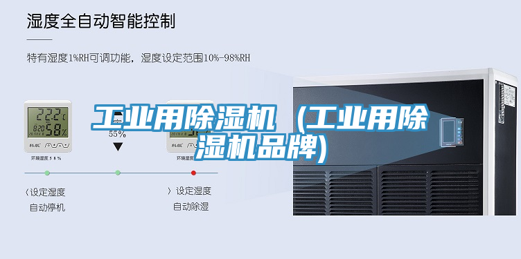 工業用草莓污视频在线看 (工業用草莓污视频在线看品牌)