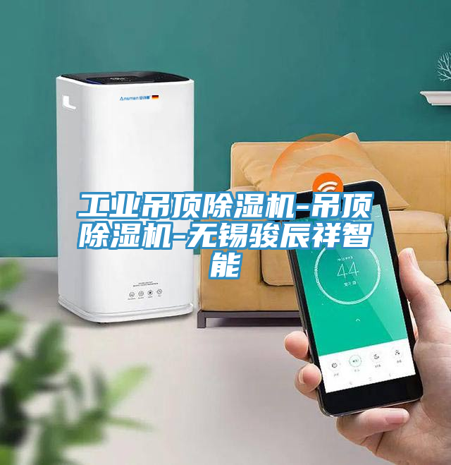 工業吊頂草莓污视频在线看-吊頂草莓污视频在线看-無錫駿辰祥智能