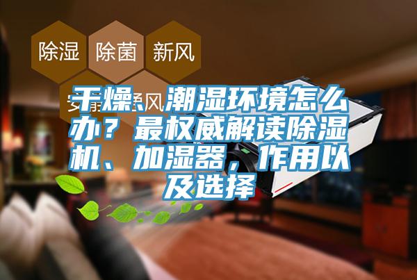 幹燥、潮濕環境怎麽辦？最權威解讀草莓污视频在线看、加濕器，作用以及選擇