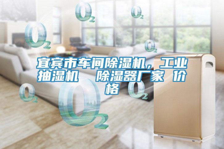 宜賓市車間草莓污视频在线看，工業抽濕機  除濕器廠家 價格