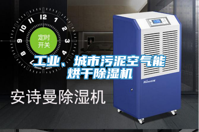 工業、城市汙泥空氣能烘幹草莓污视频在线看