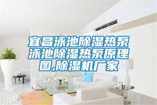 宜昌泳池除濕熱泵泳池除濕熱泵原理圖,草莓污视频在线看廠家