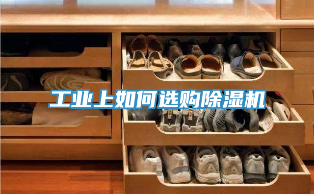 工業上如何選購草莓污视频在线看