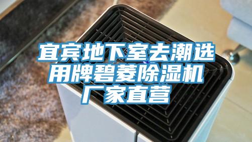 宜賓地下室去潮選用牌碧菱草莓污视频在线看廠家直營