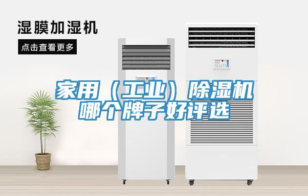 家用（工業）草莓污视频在线看哪個牌子好評選