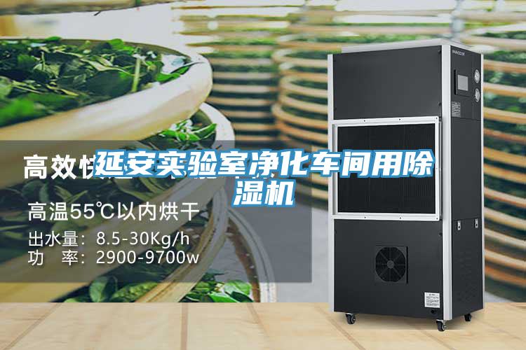 延安實驗室淨化車間用草莓污视频在线看