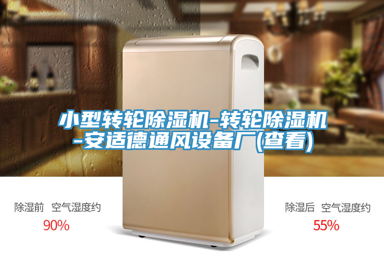 小型轉輪草莓污视频在线看-轉輪草莓污视频在线看-安適德通風設備廠(查看)