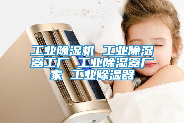 工業草莓污视频在线看 工業除濕器工廠 工業除濕器廠家 工業除濕器
