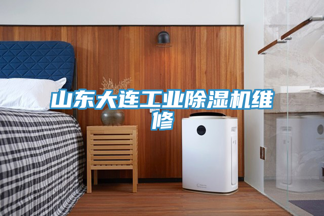 山東大連工業草莓污视频在线看維修