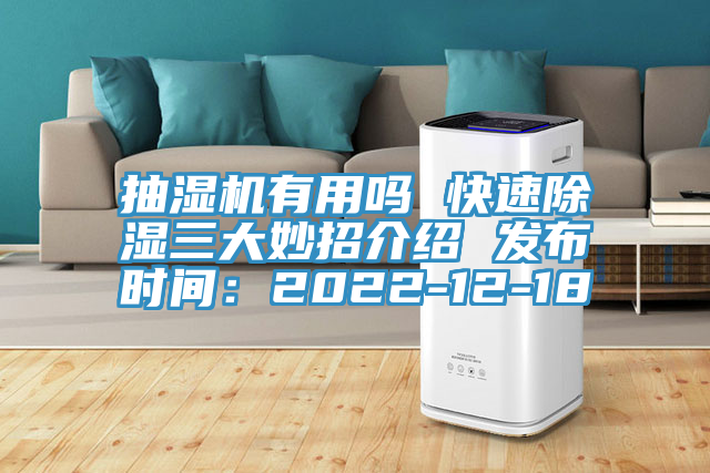 抽濕機有用嗎 快速除濕三大妙招介紹 發布時間：2022-12-18