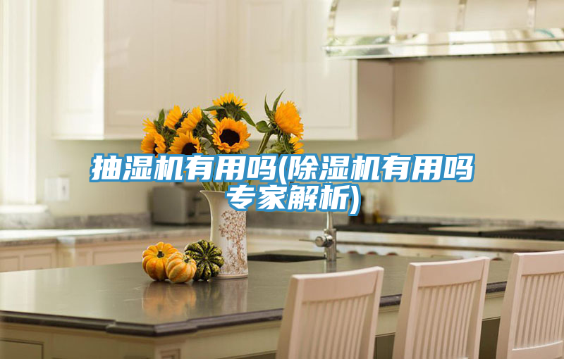 抽濕機有用嗎(草莓污视频在线看有用嗎 專家解析)