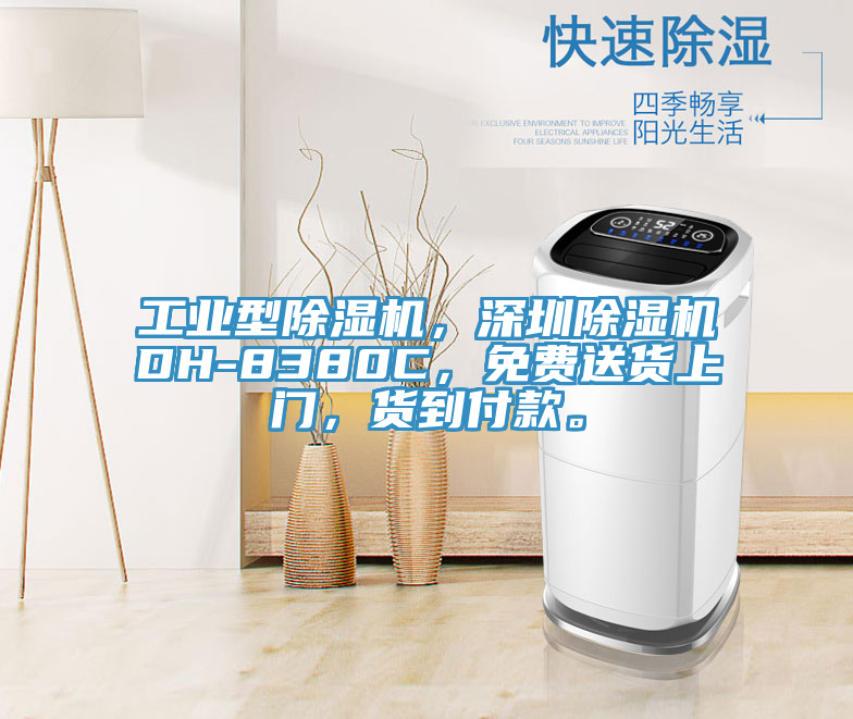 工業型草莓污视频在线看，深圳草莓污视频在线看DH-8380C，免費送貨上門，貨到付款。