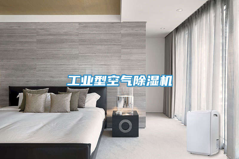 工業型空氣草莓污视频在线看