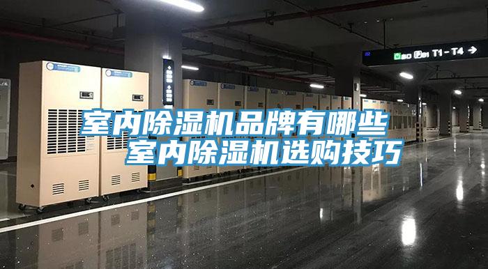室內草莓污视频在线看品牌有哪些   室內草莓污视频在线看選購技巧