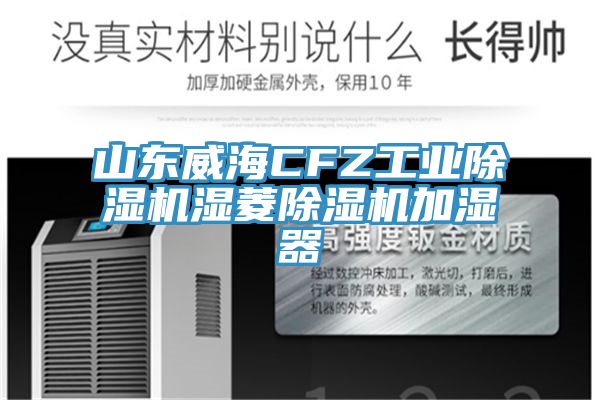 山東威海CFZ工業草莓污视频在线看濕菱草莓污视频在线看加濕器