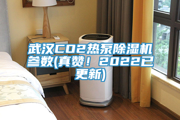 武漢CO2熱泵草莓污视频在线看參數(真讚！2022已更新)