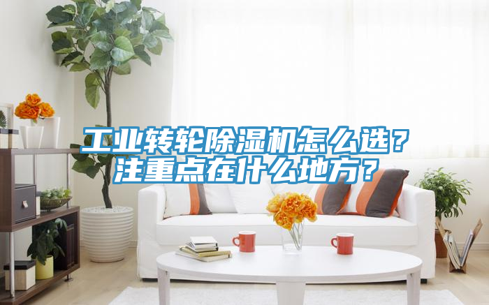 工業轉輪草莓污视频在线看怎麽選？注重點在什麽地方？
