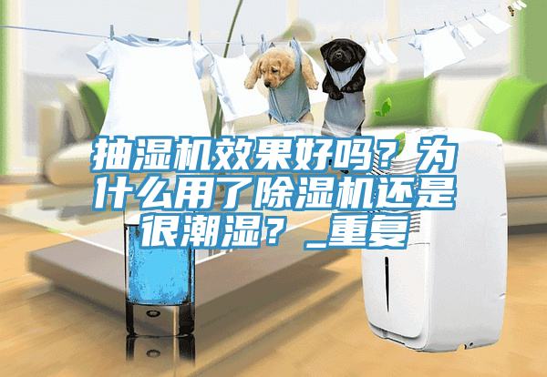 抽濕機效果好嗎？為什麽用了草莓污视频在线看還是很潮濕？_重複