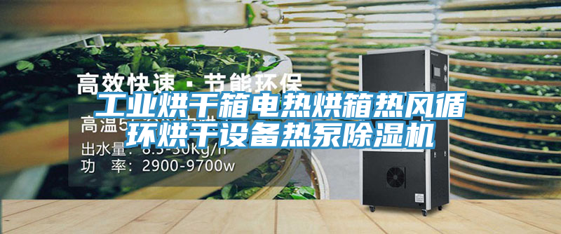 工業烘幹箱電熱烘箱熱風循環烘幹設備熱泵草莓污视频在线看