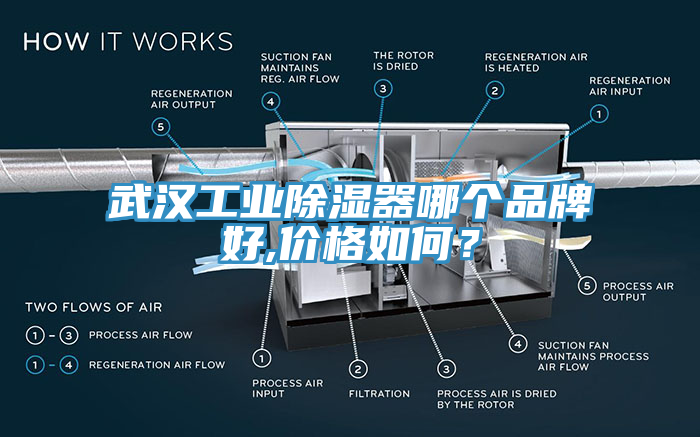 武漢工業除濕器哪個品牌好,價格如何？
