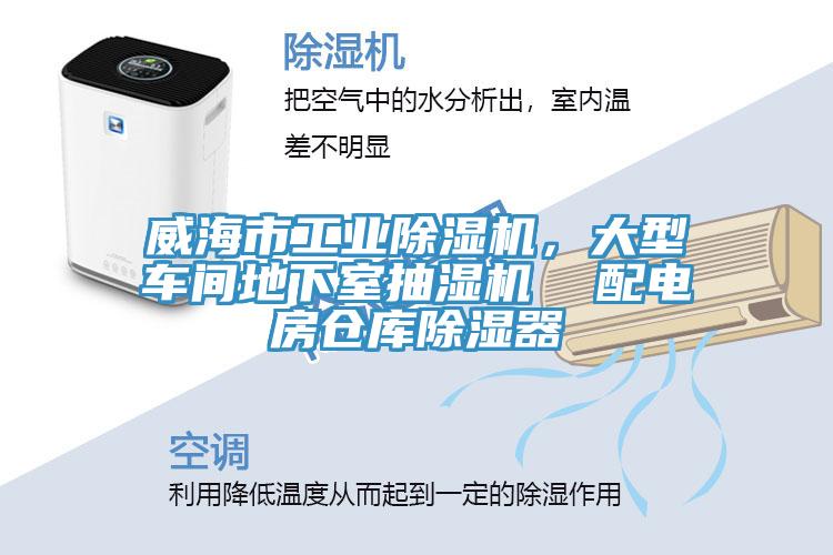 威海市工業草莓污视频在线看，大型車間地下室抽濕機  配電房倉庫除濕器