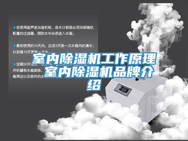 室內草莓污视频在线看工作原理 室內草莓污视频在线看品牌介紹