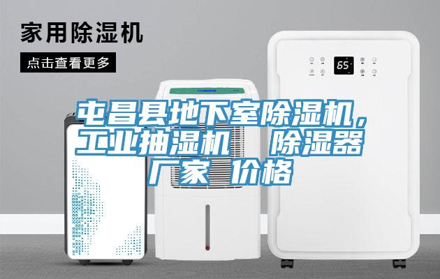屯昌縣地下室草莓污视频在线看，工業抽濕機  除濕器廠家 價格