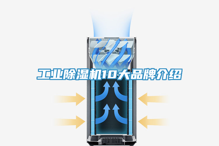 工業草莓污视频在线看10大品牌介紹
