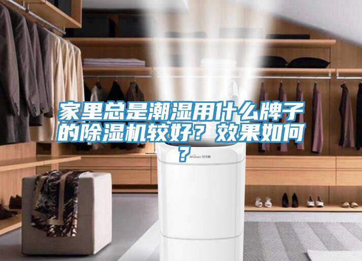 家裏總是潮濕用什麽牌子的草莓污视频在线看較好？效果如何？