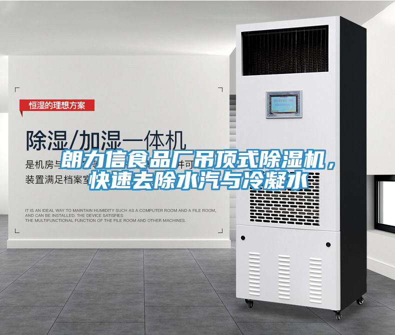朗力信食品廠吊頂式草莓污视频在线看，快速去除水汽與冷凝水