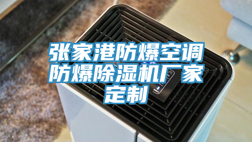 張家港防爆空調防爆草莓污视频在线看廠家定製