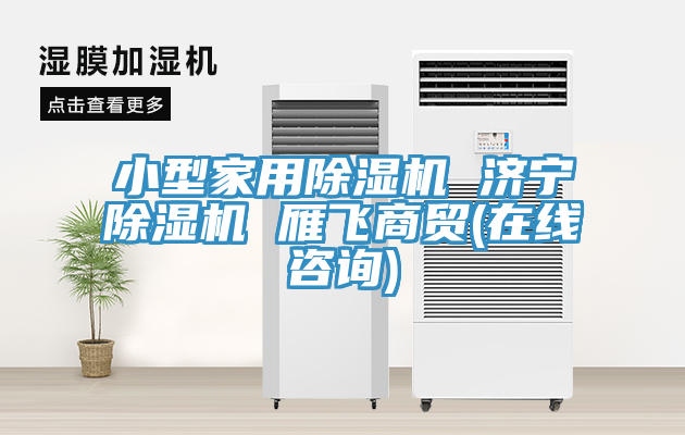 小型家用草莓污视频在线看 濟寧草莓污视频在线看 雁飛商貿(在線谘詢)