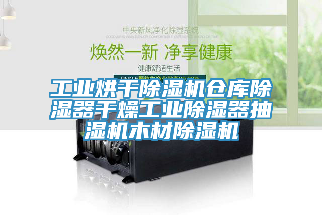 工業烘幹草莓污视频在线看倉庫除濕器幹燥工業除濕器抽濕機木材草莓污视频在线看
