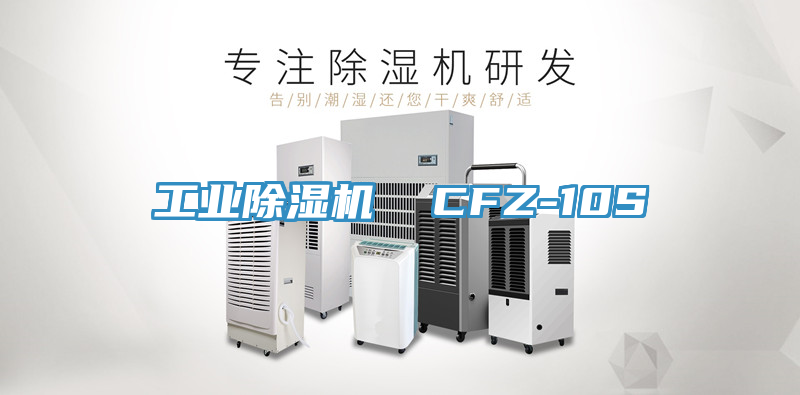 工業草莓污视频在线看  CFZ-10S