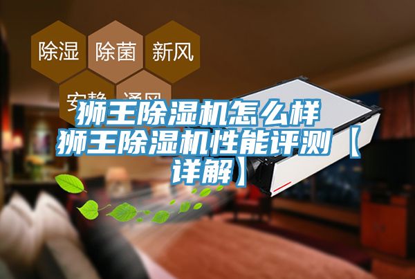 獅王草莓污视频在线看怎麽樣 獅王草莓污视频在线看性能評測【詳解】