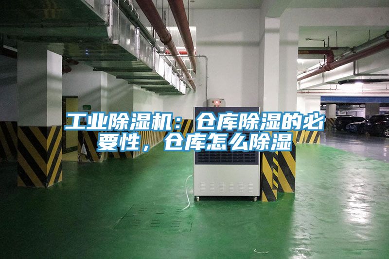 工業草莓污视频在线看：倉庫除濕的必要性，倉庫怎麽除濕