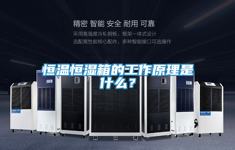 恒溫恒濕箱的工作原理是什麽？