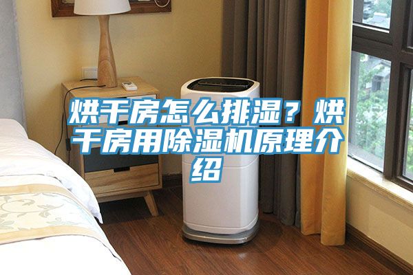 烘幹房怎麽排濕？烘幹房用草莓污视频在线看原理介紹