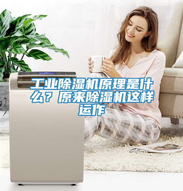 工業草莓污视频在线看原理是什麽？原來草莓污视频在线看這樣運作